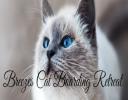 Breezes Cat Boarding logo